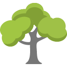 El Paso Tree Trimming
