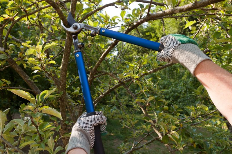 Branches Pruning