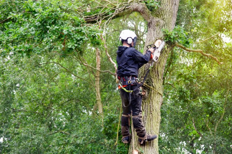 Arborist with Equipment